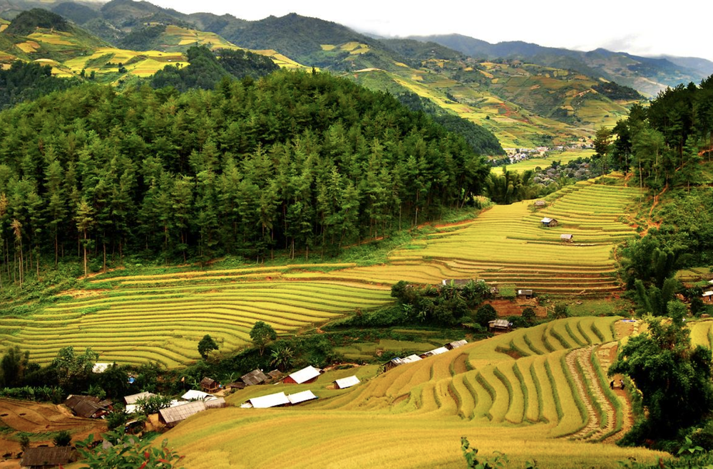 Bắt trọn thời điểm vàng tận hưởng và trải nghiệm Pù Luông đẹp nhất trong năm với chi phí chưa tới 2 triệu đồng - Ảnh 1.