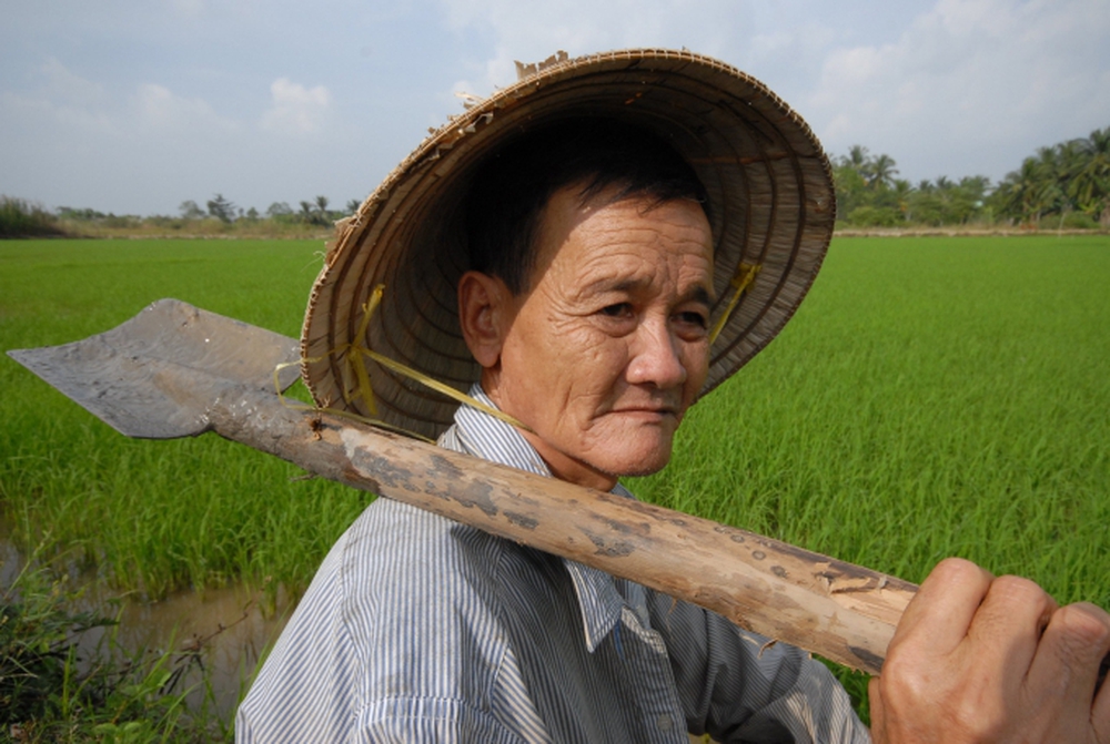 Cho thuê mái nhà kiếm tiền tỷ, tưởng dễ ăn hóa ra là “1 cú lừa”: Cảnh sát vạch trần thủ đoạn bán hàng vô lương tâm của doanh nghiệp điện quang - Ảnh 5.