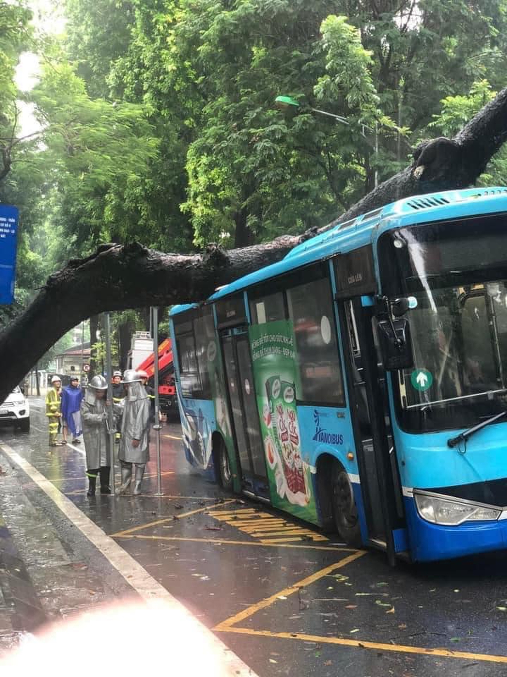 Cây đổ đè bẹp xe buýt đang chạy khiến phố Hà Nội tắc nghẽn, toàn cảnh ảnh hiện trường - Ảnh 4.