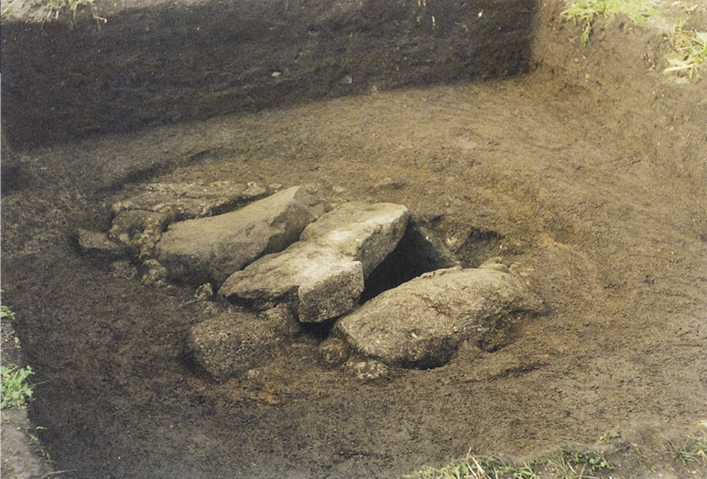 Khai quật mộ cổ 2.000 năm tuổi, phát hiện thời kỳ huy hoàng của chiến binh nữ - Ảnh 1.