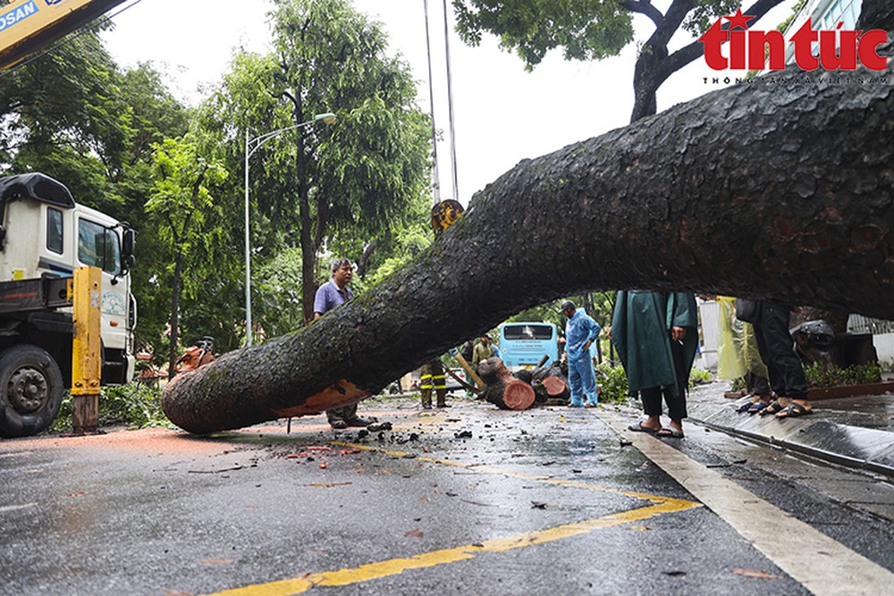 Cây cổ thụ bật gốc đè bẹp xe buýt đang chở khách trong mưa dông ở Hà Nội - Ảnh 4.