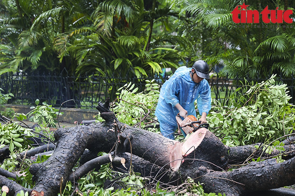 Cây cổ thụ bật gốc đè bẹp xe buýt đang chở khách trong mưa dông ở Hà Nội - Ảnh 3.