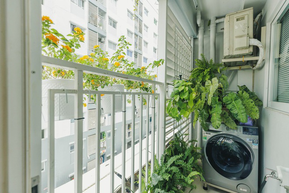 Chi 70 triệu đồng sửa nhà với rất nhiều cây, chàng trai bị hỏi “có sợ muỗi tấn công’?