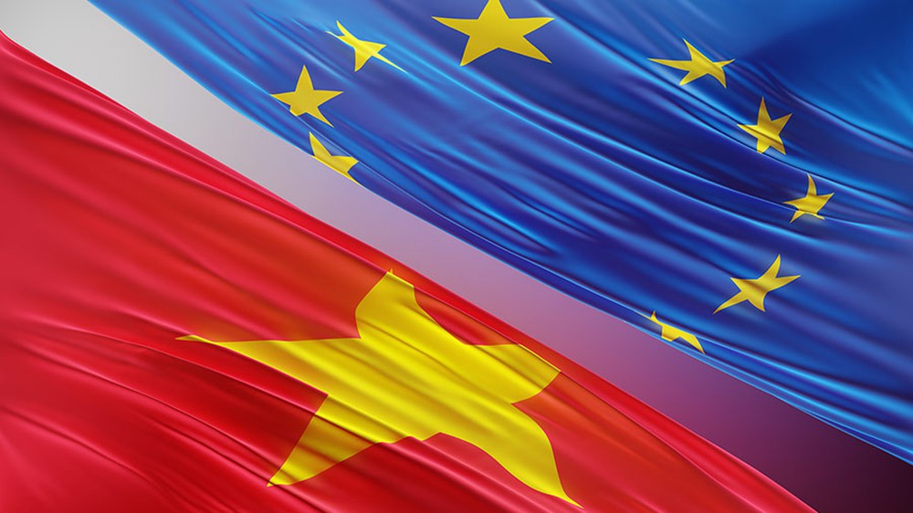 Một mặt hàng Việt Nam xuất sang châu Âu tăng trưởng tới hơn 600% nhờ hiệp định thương mại quan trọng: Cơ hội phía sau là gì? - Ảnh 3.