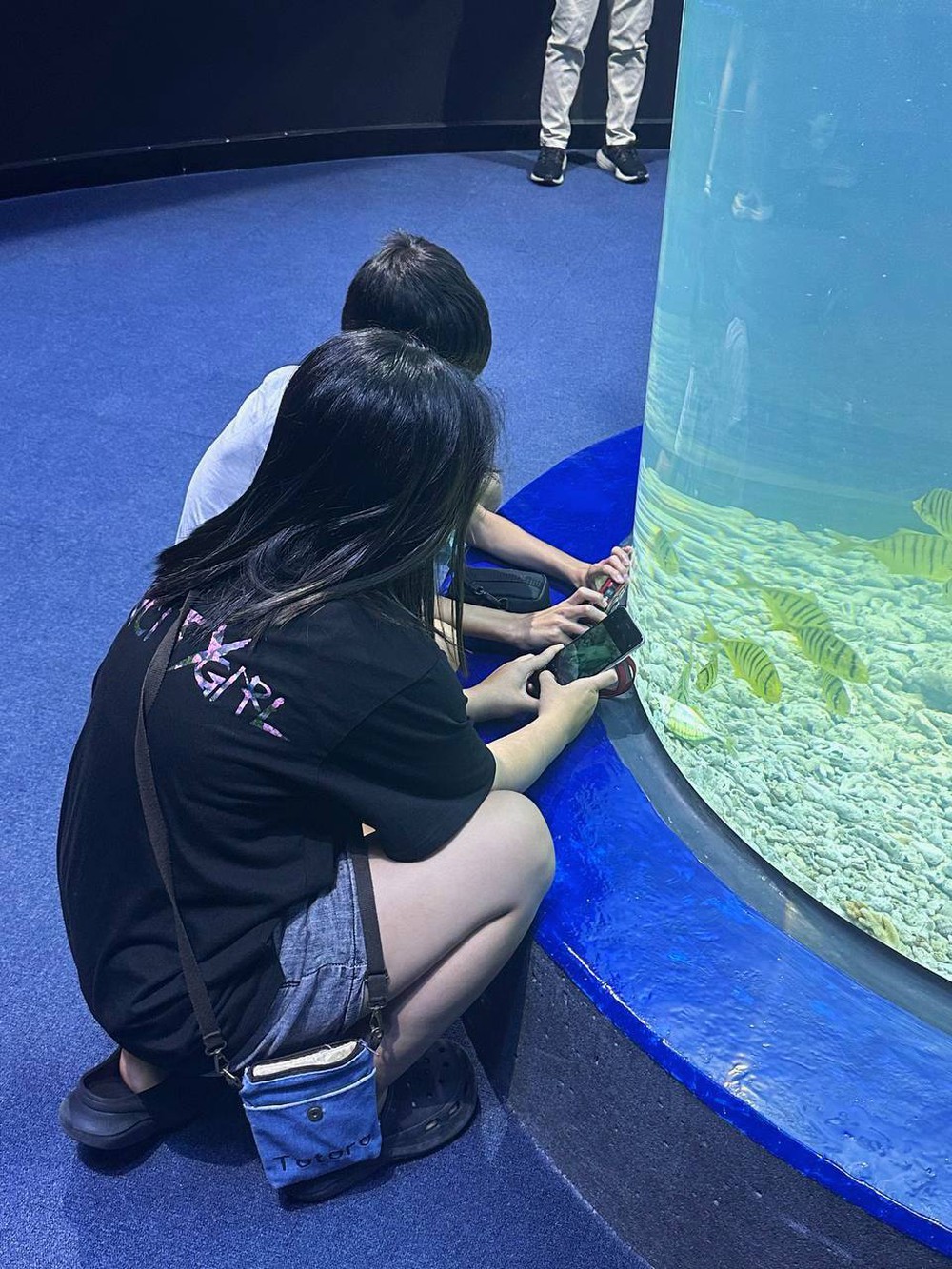 Đổ xô đến trung tâm thương mại Lotte Mall Hồ Tây, hàng loạt du khách hụt hẫng: “Không đi thì tiếc, đi rồi vẫn tiếc!”