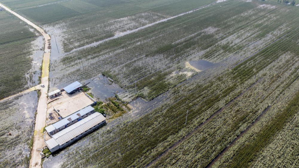 Mưa lũ kỷ lục nhấm chìm vựa lúa của Trung Quốc, gây lo ngại về an ninh lương thực - Ảnh 7.