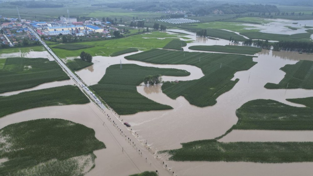 Mưa lũ kỷ lục nhấm chìm vựa lúa của Trung Quốc, gây lo ngại về an ninh lương thực - Ảnh 1.