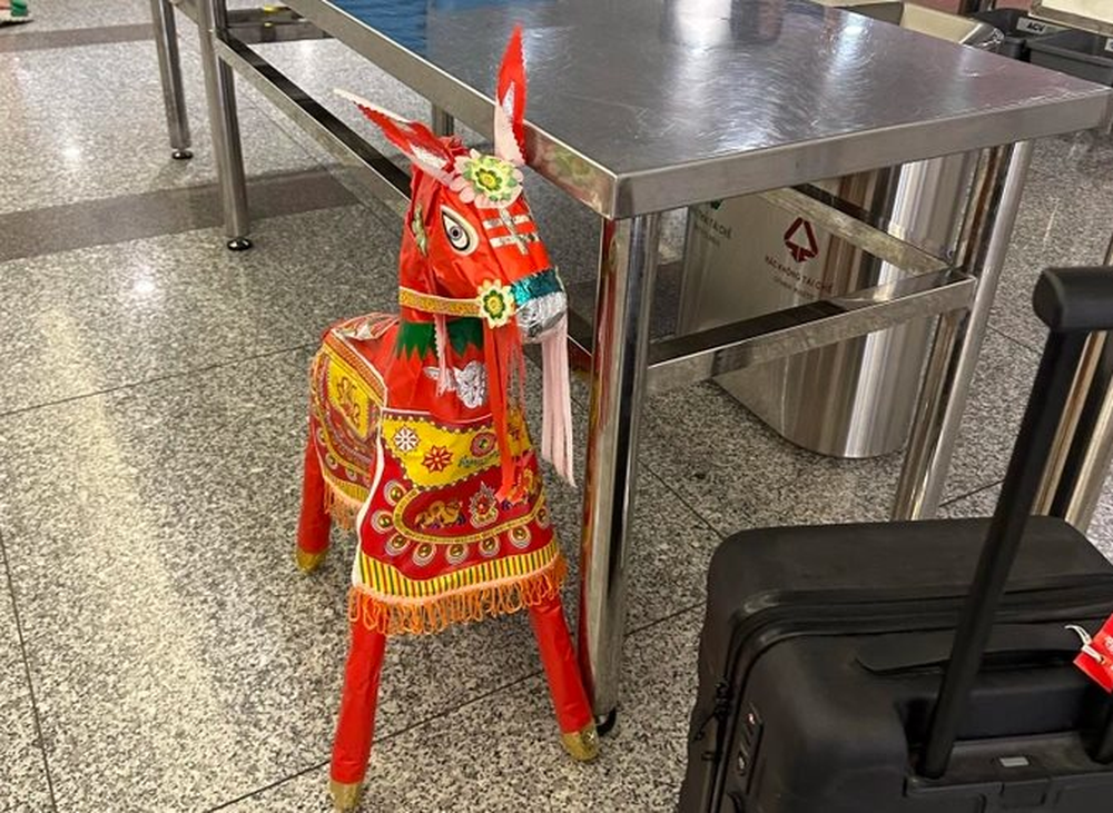 Hãng bay chính thức lên tiếng về việc ngựa vàng mã của khách Tây phải bỏ lại sân bay Nội Bài - Ảnh 3.