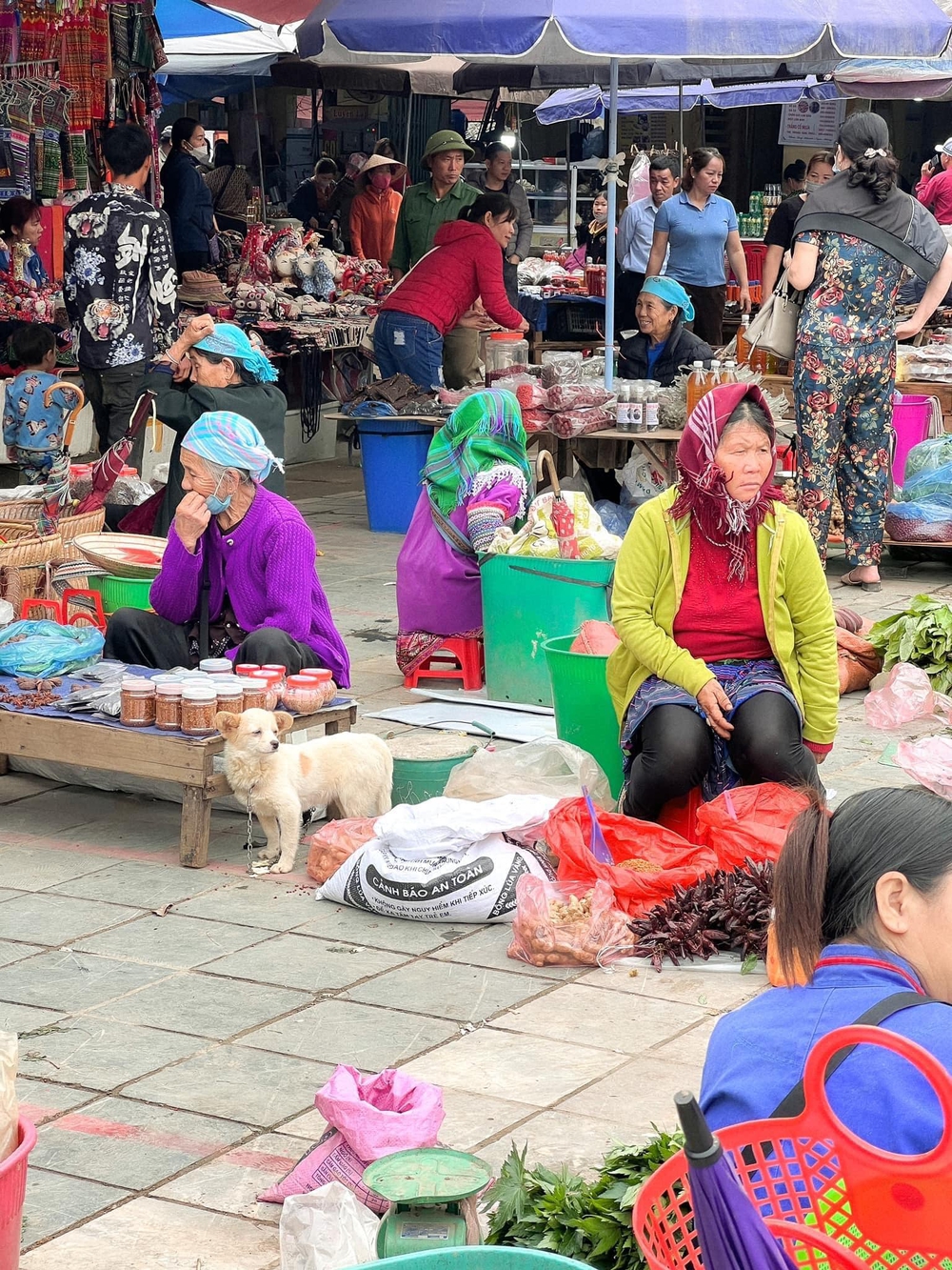 Lên Bắc Hà ghé một trong những phiên chợ hấp dẫn nhất Đông Nam Á và trải nghiệm tắm thác, chăn cừu cùng người bản địa - Ảnh 3.