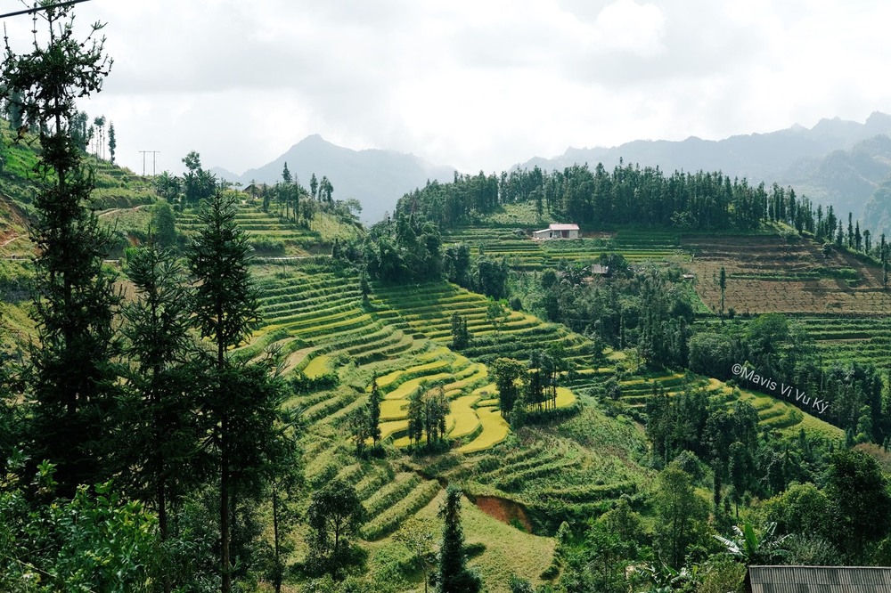 Lên Bắc Hà ghé một trong những phiên chợ hấp dẫn nhất Đông Nam Á và trải nghiệm tắm thác, chăn cừu cùng người bản địa - Ảnh 10.