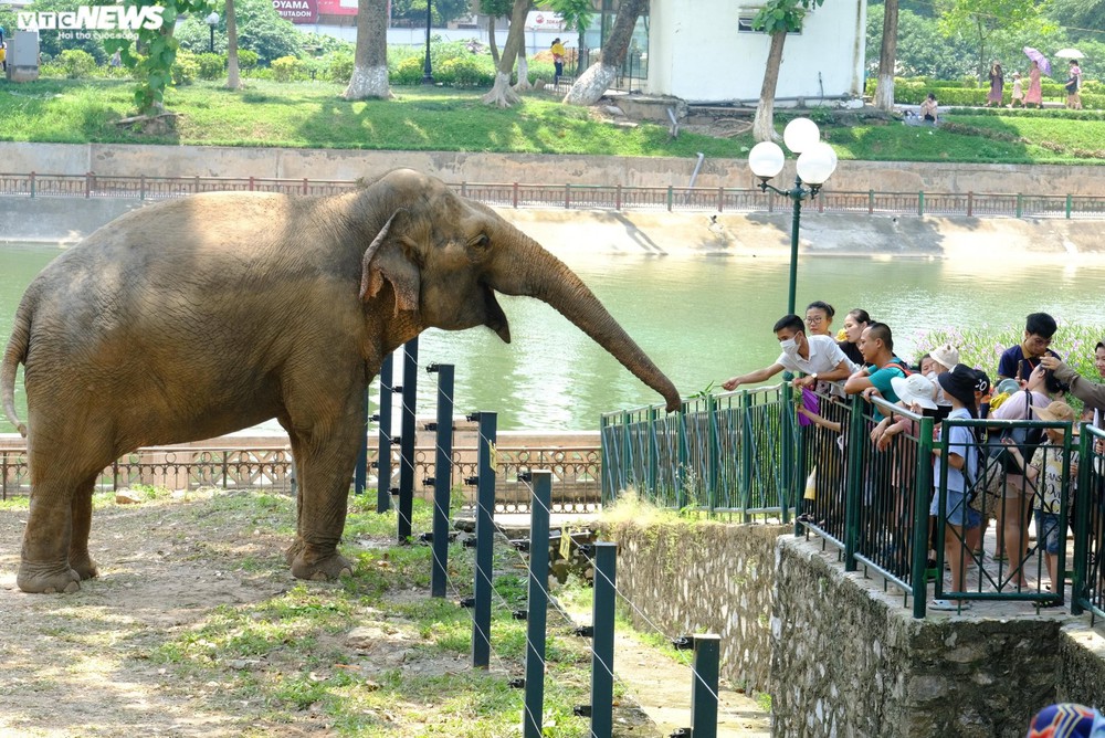 Phố trung tâm Hà Nội, Công viên Thủ Lệ đông nghẹt người đến vui chơi, chụp ảnh - Ảnh 26.