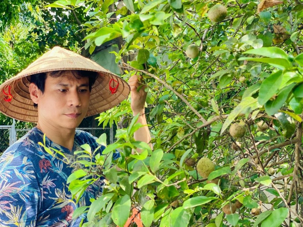 Nam thần màn ảnh Trí Quang âm thầm ly hôn, U50 sống một mình trong nhà vườn 800m2, vui thú điền viên - Ảnh 4.