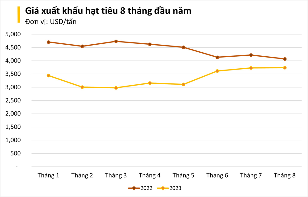 Một mặt hàng nông sản của Việt Nam cực kỳ đắt hàng trên thế giới, xuất khẩu sang nhiều quốc gia tăng trưởng đột biến ba chữ số - Ảnh 3.