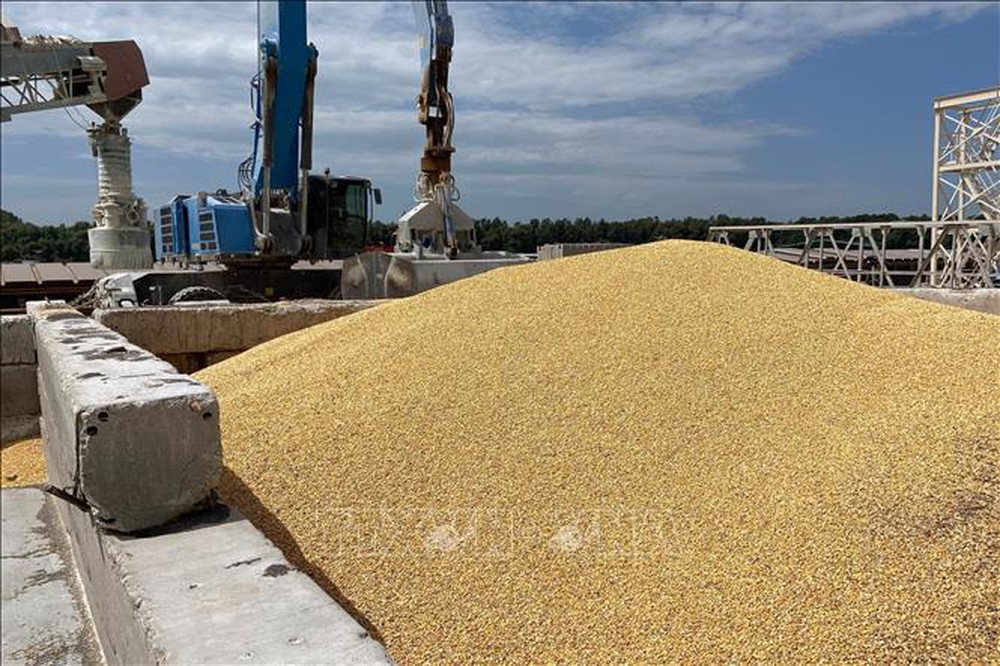 Bulgaria dỡ bỏ lệnh cấm nhập khẩu ngũ cốc của Ukraine - Ảnh 1.