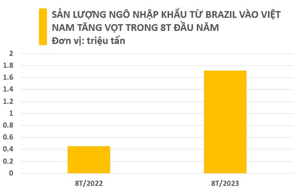 Một loại hạt giá rẻ từ Brazil đang đổ bộ vào Việt Nam: Nhập khẩu tăng gấp 4 lần trong 8 tháng đầu năm, Việt Nam nhập khẩu thuộc top đầu thế giới - Ảnh 2.