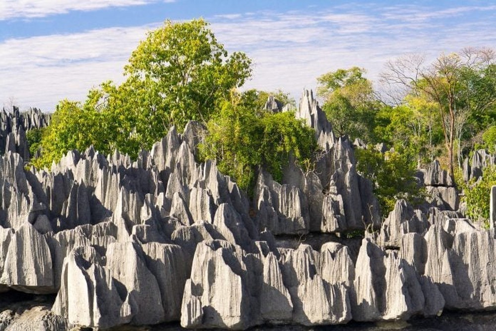 Chiêm ngưỡng rừng đá như một thảm chông khổng lồ, hiểm trở bậc nhất thế giới - Ảnh 5.