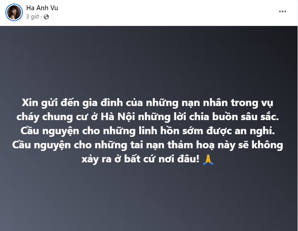 Vụ cháy chung cư mini ở Hà Nội: Thái Thùy Linh hỗ trợ nhà ở, Hồ Ngọc Hà và nhiều sao Việt đau xót chia buồn - Ảnh 6.