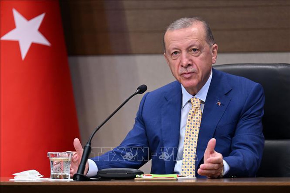 Tổng thống Tayyip Erdogan: Thổ Nhĩ Kỳ có thể chia tay với EU - Ảnh 1.