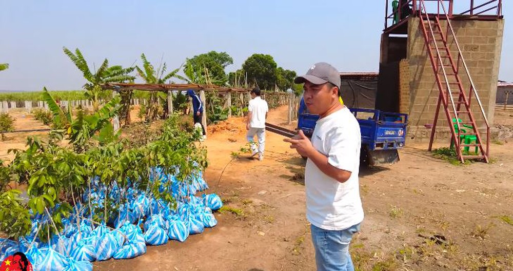 Đi săn tìm giống cây, team châu Phi mừng rơn gặp loại cây ăn trái quen thuộc ở Việt Nam - Ảnh 4.