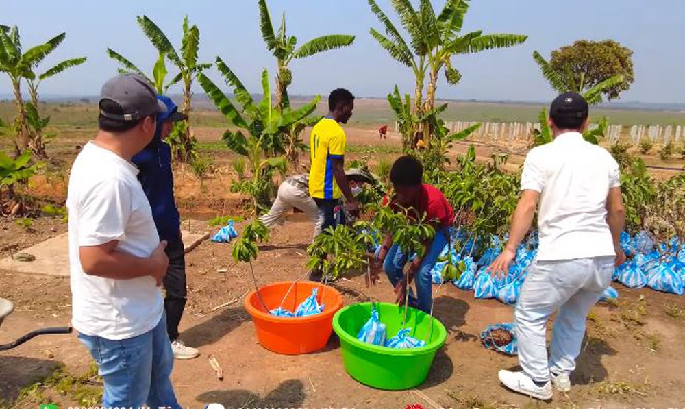 Đi săn tìm giống cây, team châu Phi mừng rơn gặp loại cây ăn trái quen thuộc ở Việt Nam - Ảnh 5.