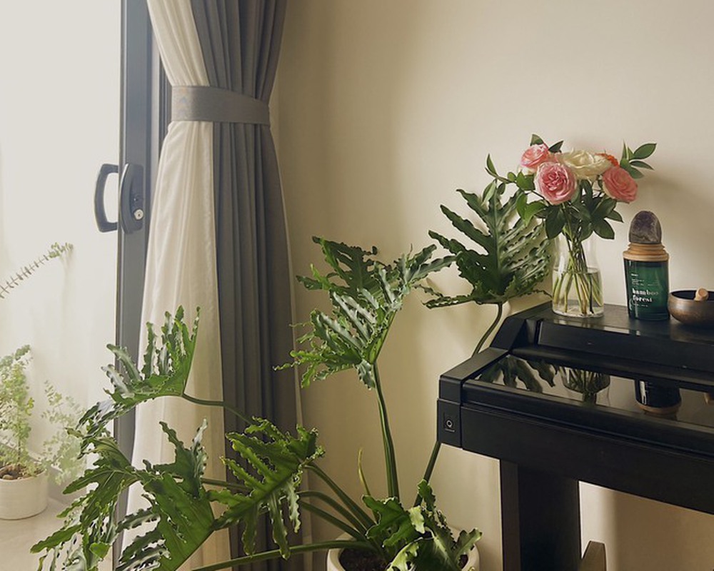 Cô gái mua căn hộ 1,7 tỷ khi mới đi làm, lúc dự án chỉ là một bãi đất trống