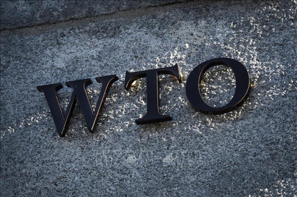 Trung Quốc kháng cáo phán quyết của WTO trong vụ tranh chấp thuế quan với Mỹ - Ảnh 1.