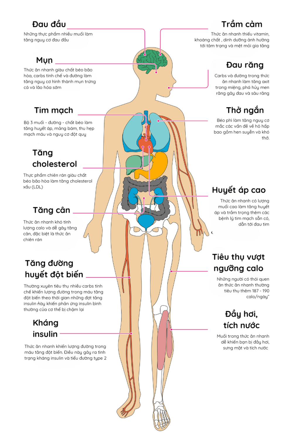 [Infographics] - 8 bộ phận cơ thể bị bào mòn như thế nào bởi thức ăn nhanh? - Ảnh 1.