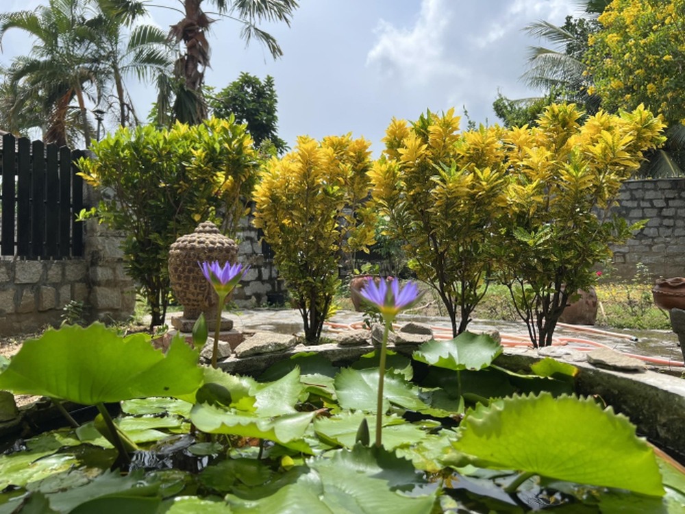 Chán cuộc sống ồn ào, vợ chồng doanh nhân bỏ phố về quê: Chi 12 tỷ để sở hữu không gian sống thơ mộng, xây cả resort để nghỉ dưỡng - Ảnh 2. Chán cuộc sống ồn ào, vợ chồng doanh nhân bỏ phố về quê: Chi 12 tỷ để sở hữu không gian sống thơ mộng, xây cả resort để nghỉ dưỡng - Ảnh 2.