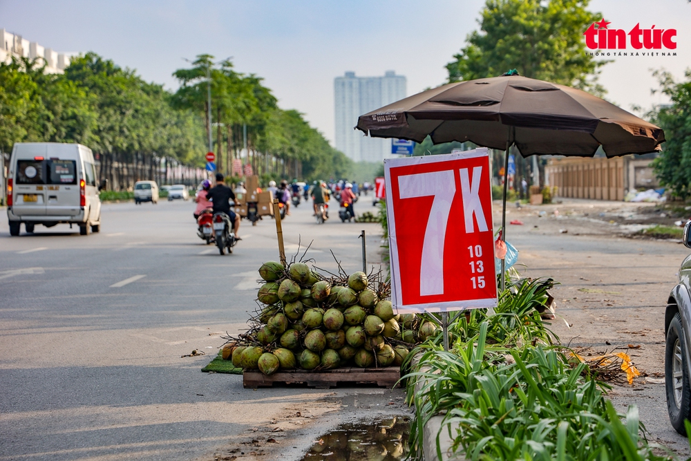 Đại lộ nghìn tỷ Hà Nội thành chợ hoa quả di động - Ảnh 10.