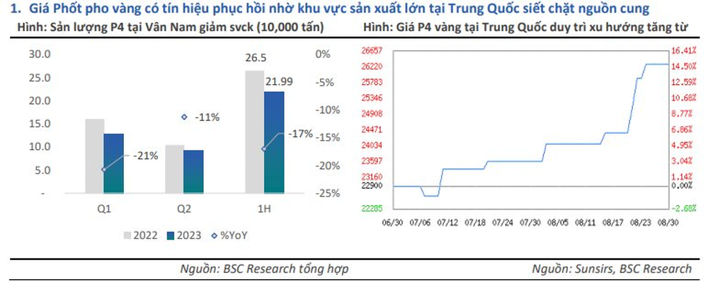 Cổ phiếu đã tăng 90% chỉ sau 4 tháng, đối mặt với một rủi ro lớn, triển vọng tiếp theo của Hóa chất Đức Giang (DGC) ra sao? - Ảnh 2.