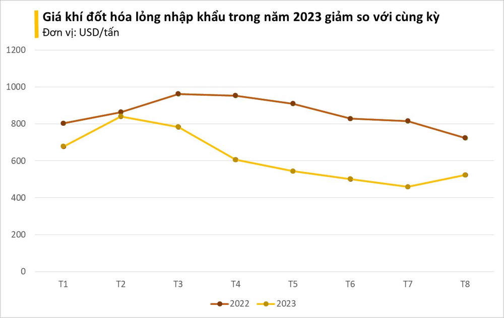 Giá rẻ bất ngờ, một mặt hàng từ Ả Rập Xê Út đang đổ bộ vào Việt Nam hơn 200% trong 8 tháng đầu năm - Ảnh 2.