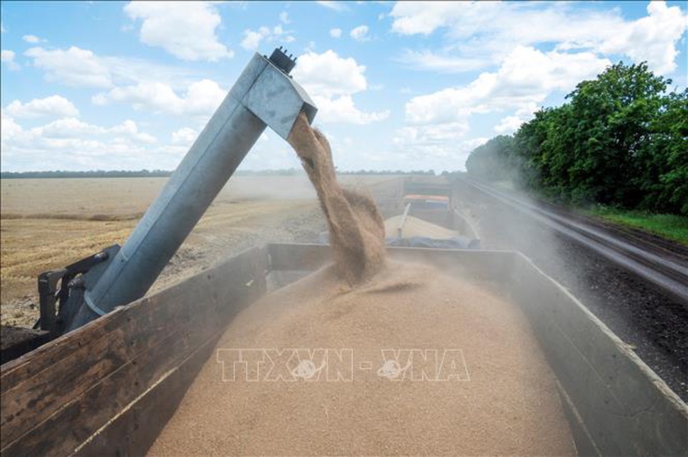Nga đề xuất biện pháp giải quyết ngũ cốc thừa của Ukraine - Ảnh 1.