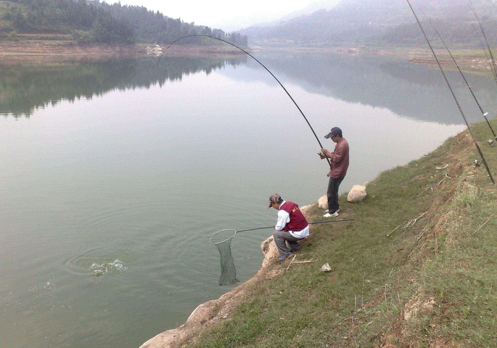 Dùng cá nhỏ làm “mồi câu”, 2 người đàn ông thu về hơn 40 kg cá sông nhưng bị cảnh sát phạt gần 40 triệu đồng: Nguyên nhân ít ai ngờ tới! - Ảnh 4.