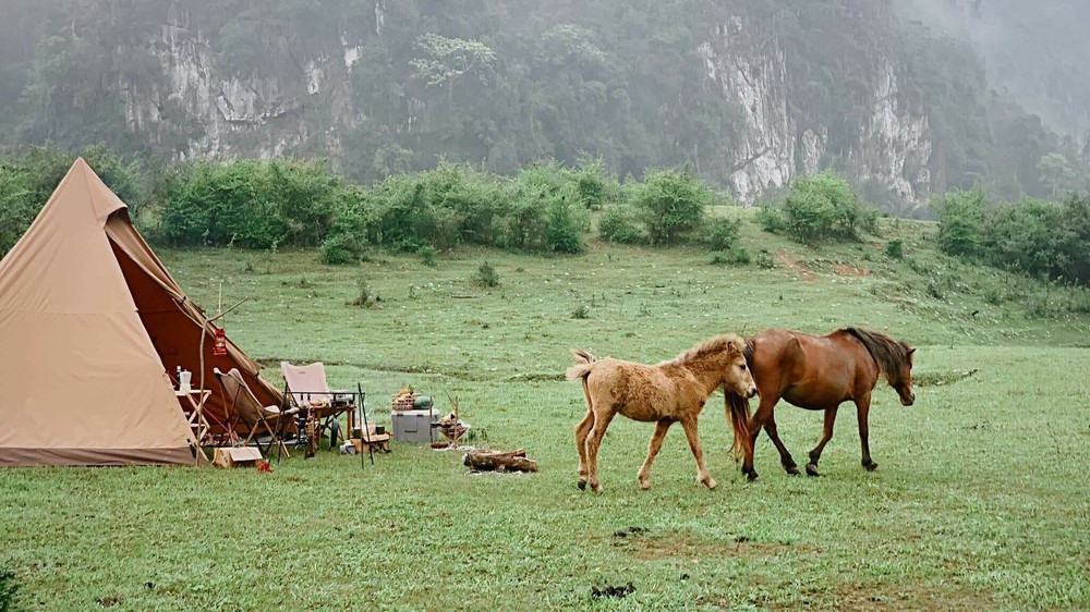 Phát hiện thảo nguyên xanh chỉ cách Hà Nội 2 giờ chạy xe, du khách nhận xét như “Mông Cổ thu nhỏ” - Ảnh 7.