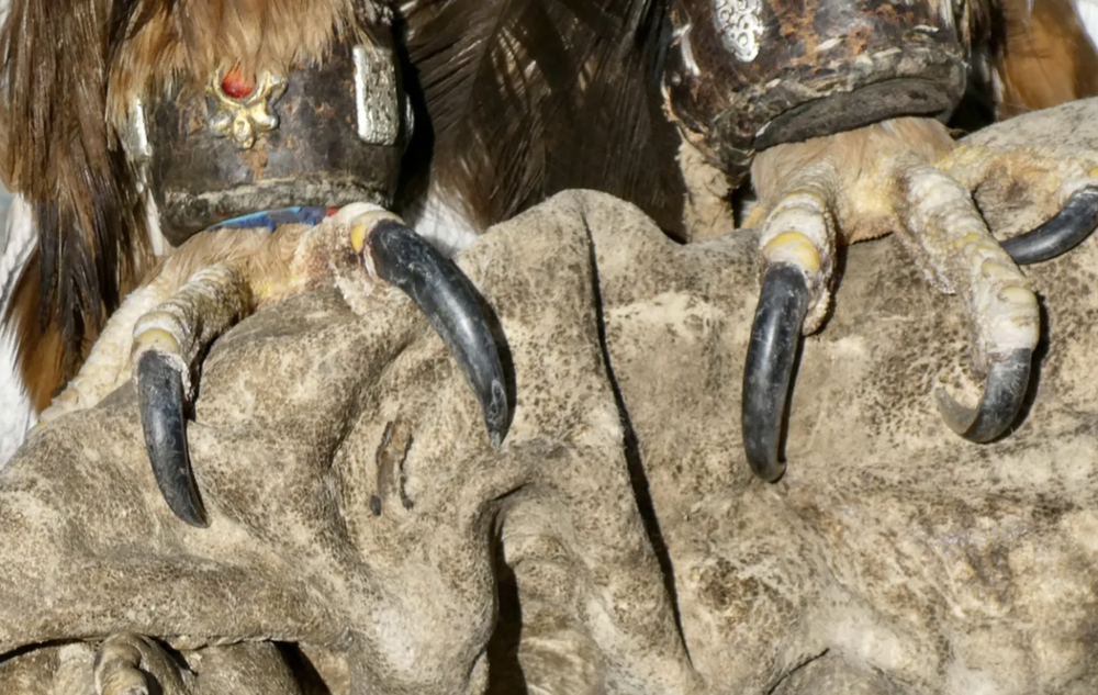 Nữ thợ săn đại bàng trên thảo nguyên Mông Cổ: Truyền thống hay chiêu trò du lịch? - Ảnh 6.