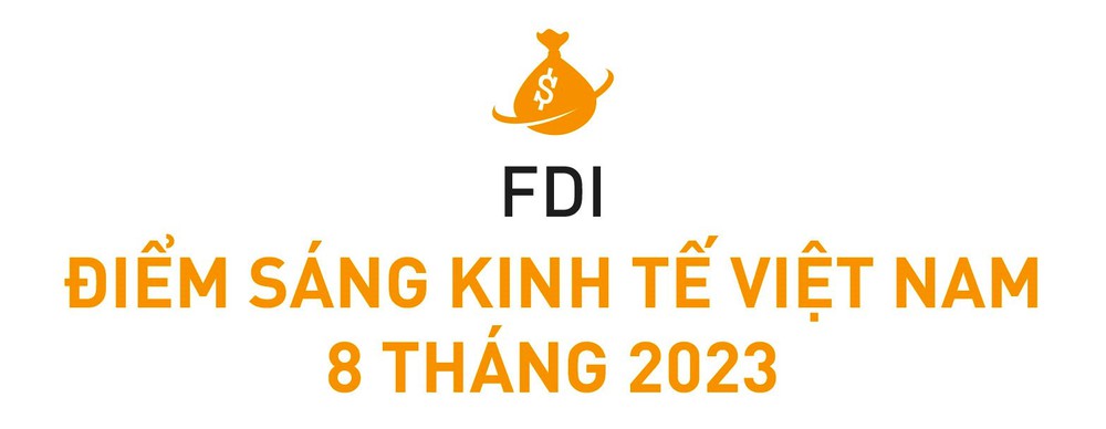 Một năm đón hàng loạt đại gia Mỹ, Trung Quốc, Hàn Quốc... chuyên gia nói gì về triển vọng FDI của Việt Nam trong thời gian tới? - Ảnh 2.
