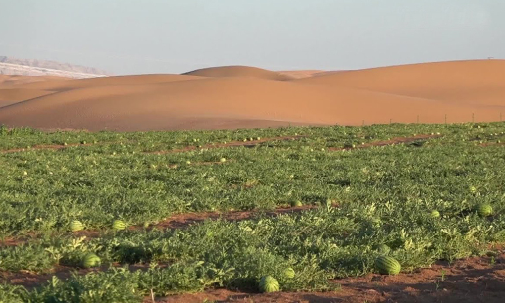 Trung Quốc huy động 3 triệu người mang bảo vật đến chôn giữa sa mạc khô cằn nhất thế giới, sau 30 năm, quay lại nhìn cảnh tượng mà khó tin - Ảnh 7.
