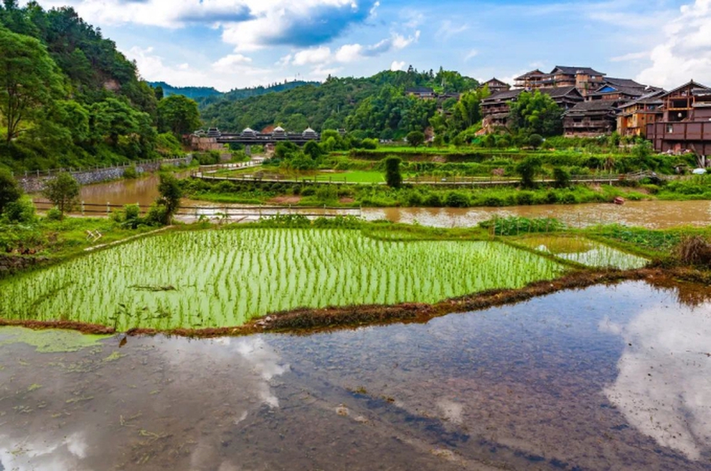 Chuyện lạ đời ở Liễu Châu: Đi khắp thành phố chỉ bằng 10 nghìn đồng, khắp nơi đậm mùi đặc trưng của món bún ốc ai ăn cũng nghiện - Ảnh 7.