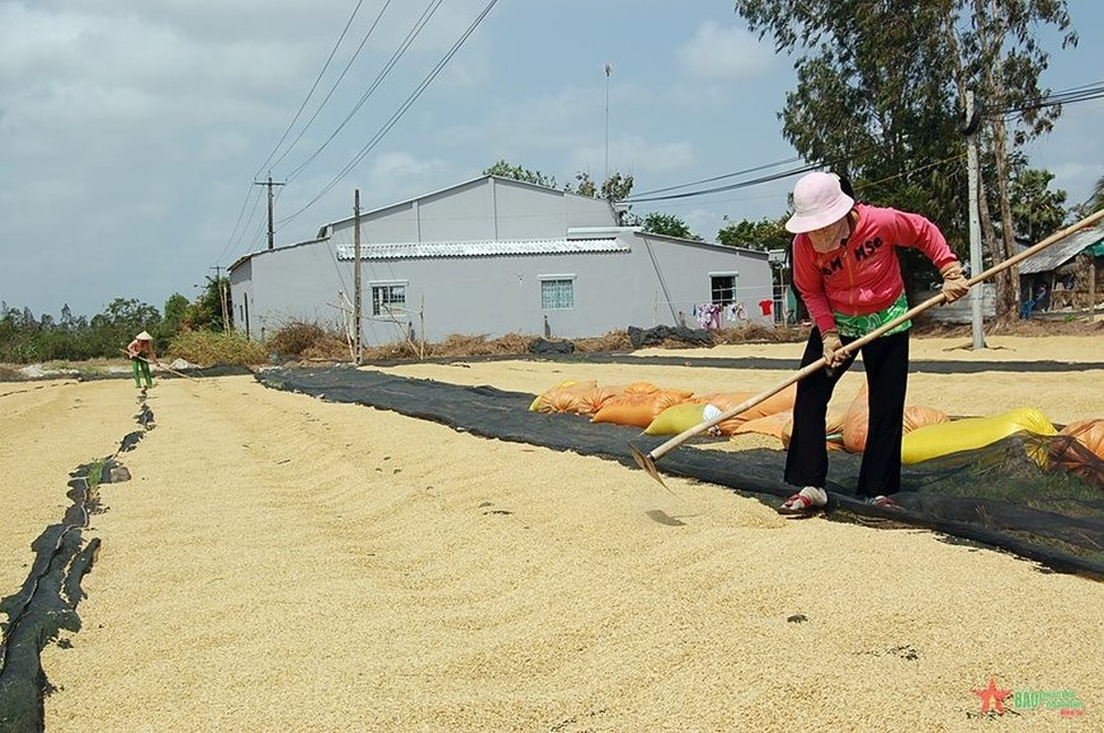 Được mùa được giá, hạt vàng của Việt Nam đang được một quốc gia châu Phi cực ưa chuộng, xuất khẩu tăng hơn 3.000% trong 8 tháng đầu năm  - Ảnh 1.