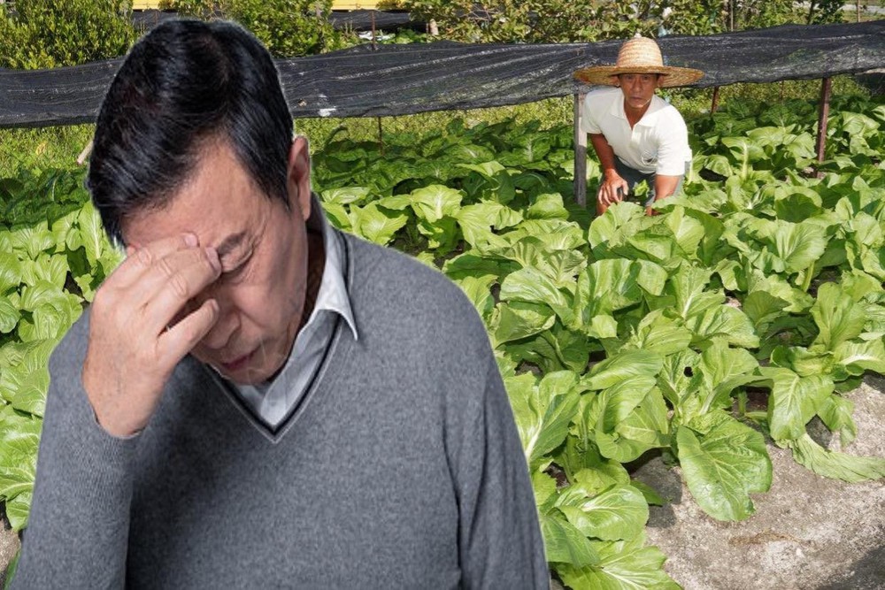 Cho hàng xóm mượn vườn trồng rau, sau 3 năm “đòi lại” thì vườn có chủ mới: Cảnh sát vào cuộc điều tra, kẻ tham lam nhận bài học nhớ đời - Ảnh 1.