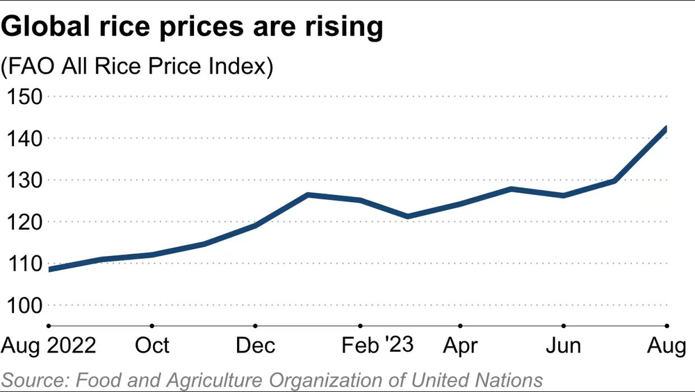 Ấn Độ cấm xuất khẩu gạo, một quốc gia châu Á đang phải vật lộn vì cú sốc nguồn cung, là nhà nhập khẩu lớn thứ 5 của gạo Việt - Ảnh 2.