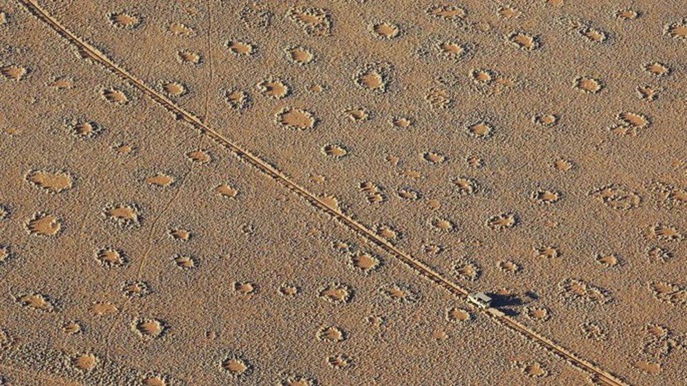 Bí ẩn 263 cụm “vòng tròn cổ tích” hiện ra khắp châu Á - Úc - Phi - Ảnh 1.