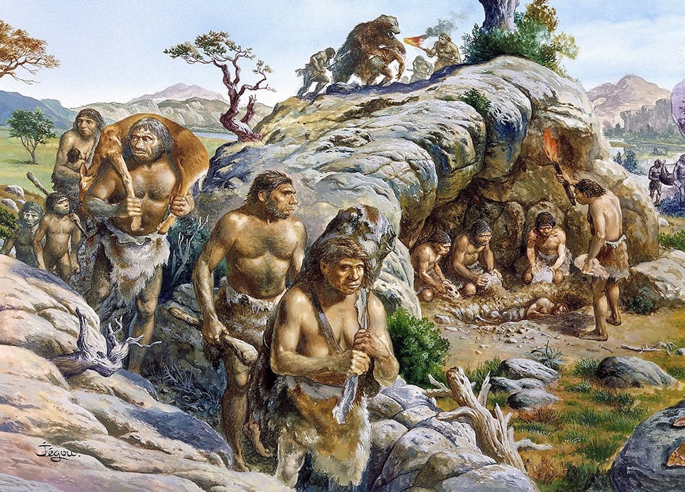 Thảm họa thiên nhiên 2,5 triệu năm trước đã thay đổi sự tiến hóa của nhân loại như thế nào? - Ảnh 3.