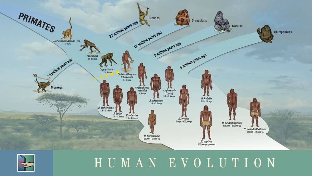 Thảm họa thiên nhiên 2,5 triệu năm trước đã thay đổi sự tiến hóa của nhân loại như thế nào? - Ảnh 1.