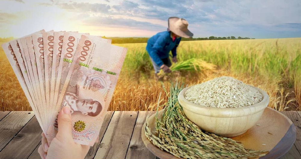 Thị trường gạo Thái Lan hỗn loạn do lệnh cấm xuất khẩu của Ấn Độ - Ảnh 1.