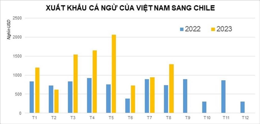 Một mặt hàng của Việt Nam đang liên tục tràn vào Chile: người dân cực kỳ ưa chuộng, xuất khẩu tăng mạnh trong 8 tháng đầu năm - Ảnh 2.