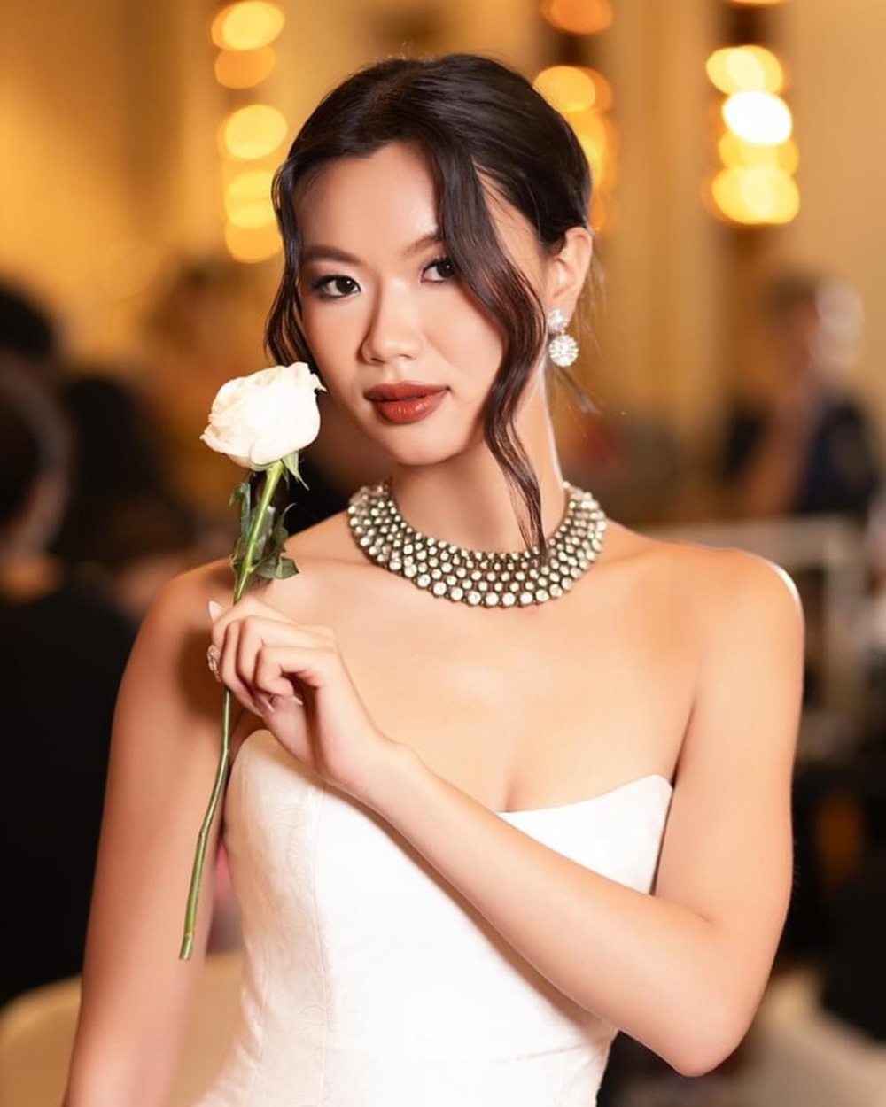 Học vấn top 3 Miss Universe Việt Nam 2023: Á hậu 2 học trường lọt top thế giới, Hoa hậu gây thất vọng? - Ảnh 7.