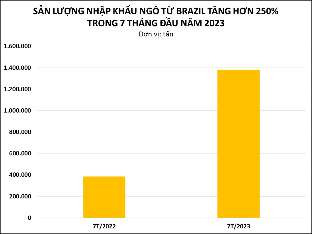 Mỹ đang đánh mất ngôi vương xuất khẩu ngô vào tay một quốc gia Nam Mỹ: là nhà cung cấp số 1 mà Việt Nam đã tăng mua gần 300% trong 7 tháng đầu năm 2023 - Ảnh 3.