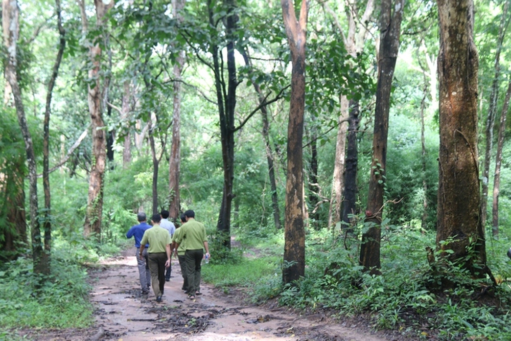 Bình Thuận họp báo trả lời vì sao phải lấy hơn 600 ha rừng làm hồ Ka Pét? - Ảnh 9.