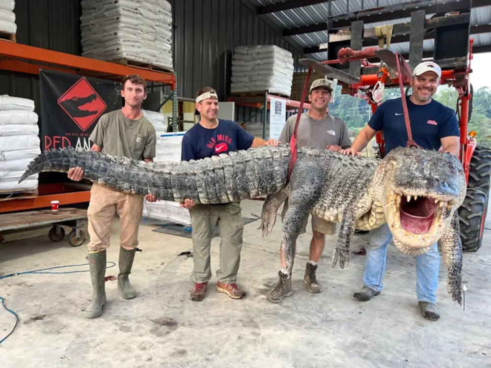 Thợ săn Mỹ: 7 tiếng như dưới địa ngục, đánh vật với cá sấu khổng lồ dài hơn 4,3 m, nặng 364 kg - Ảnh 1.